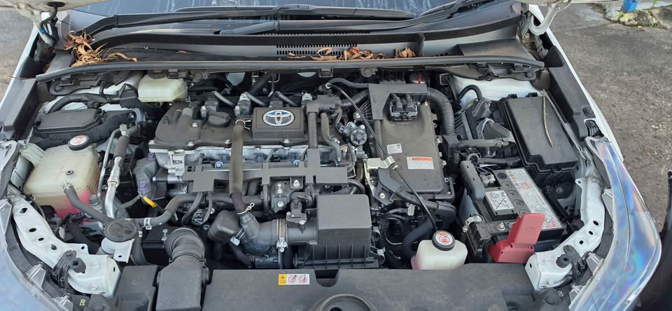 Toyota Corolla 2020 ZWE211R Ascent Sport Hybrid Hatch 2ZR-FXE E-CVT Parts – Now Dismantling